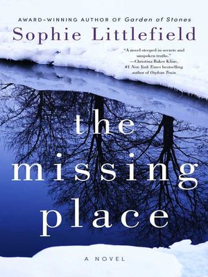 cover image of The Missing Place